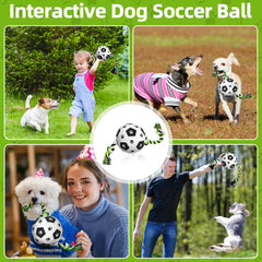 QDAN plush ball nestled inside ropes showing soft texture.