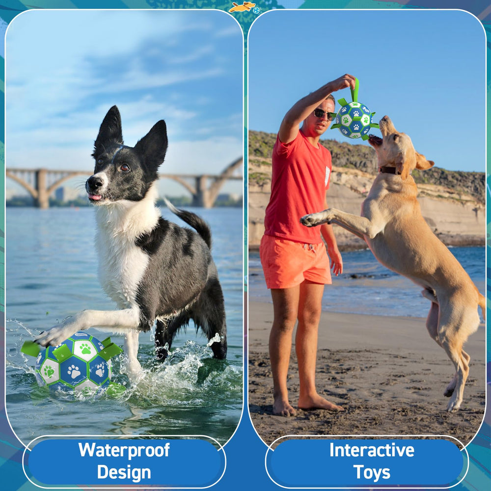 QDAN pool-ready dog toy with straps, ideal for water play and fetch.