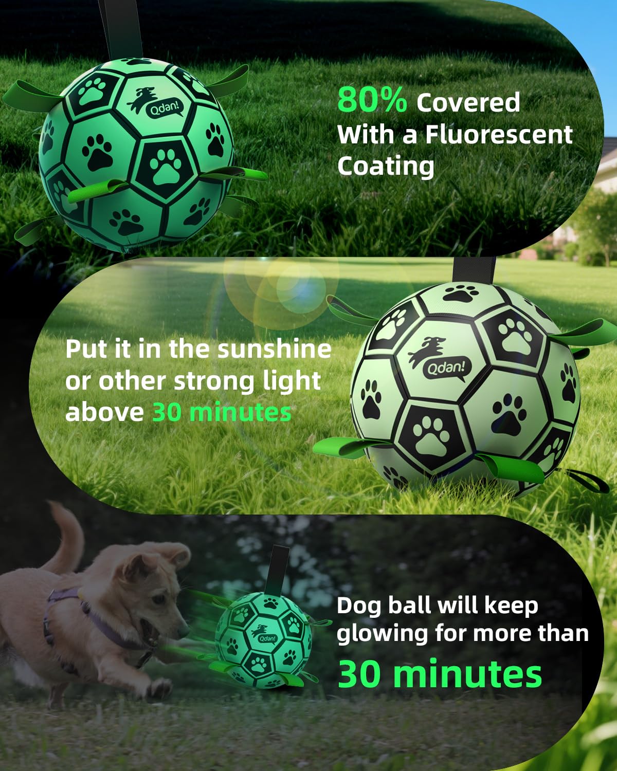 QDAN birthday gift dog ball for a fun celebration and energy release