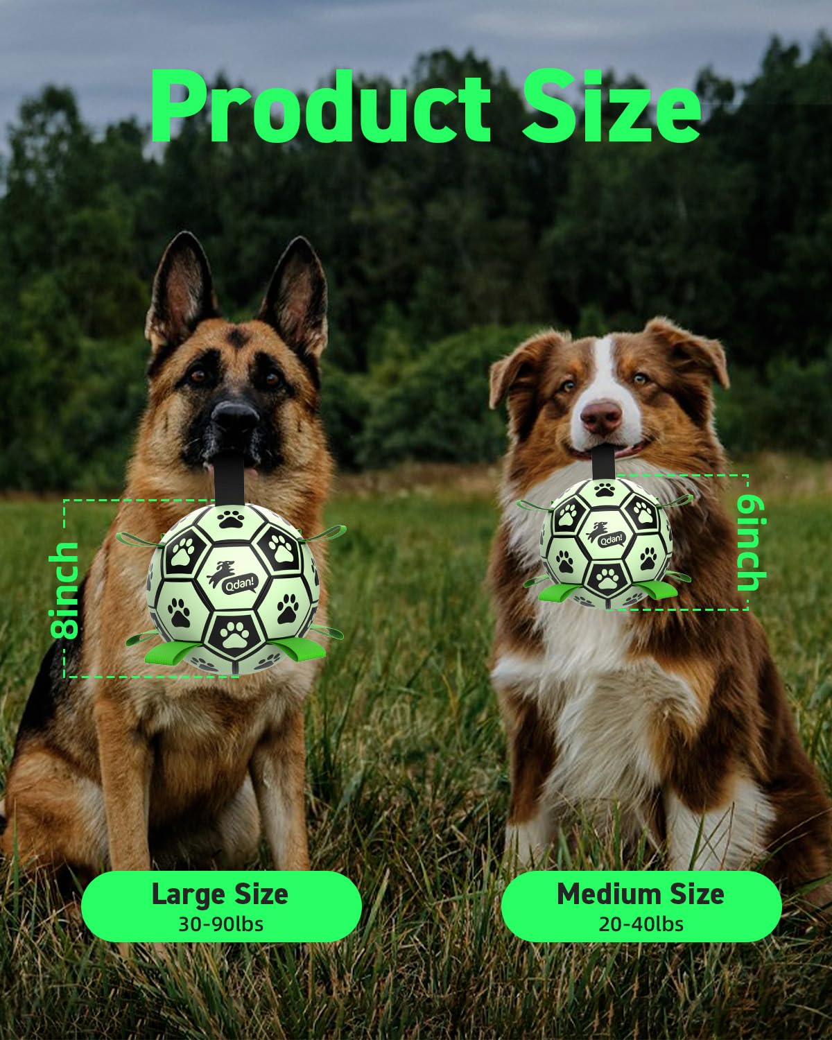 QDAN waterproof dog ball ideal for pool and water adventures
