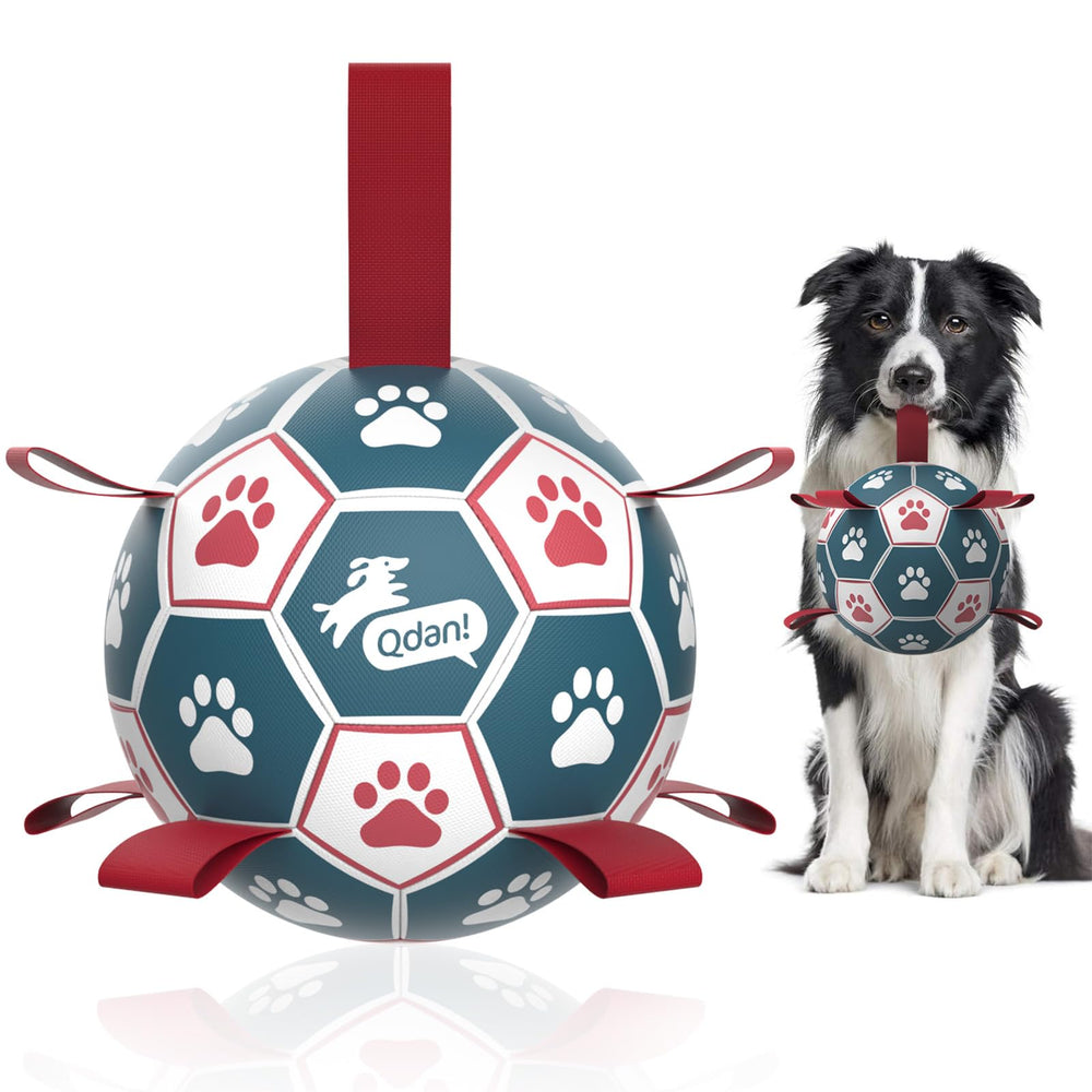 QDAN premium dog ball toy 6 inch for fetch and gentle play with small to medium dogs