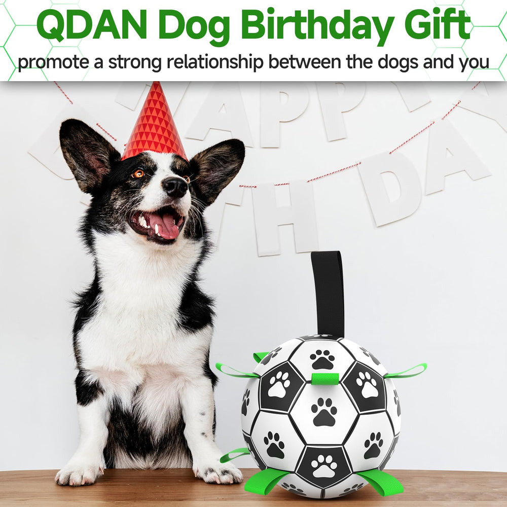 QDAN ball includes pump and needle adapter
