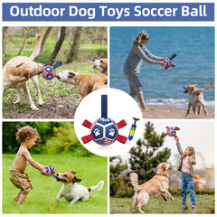 QDAN durable PU puppy ball with bounce-friendly design for fetch.