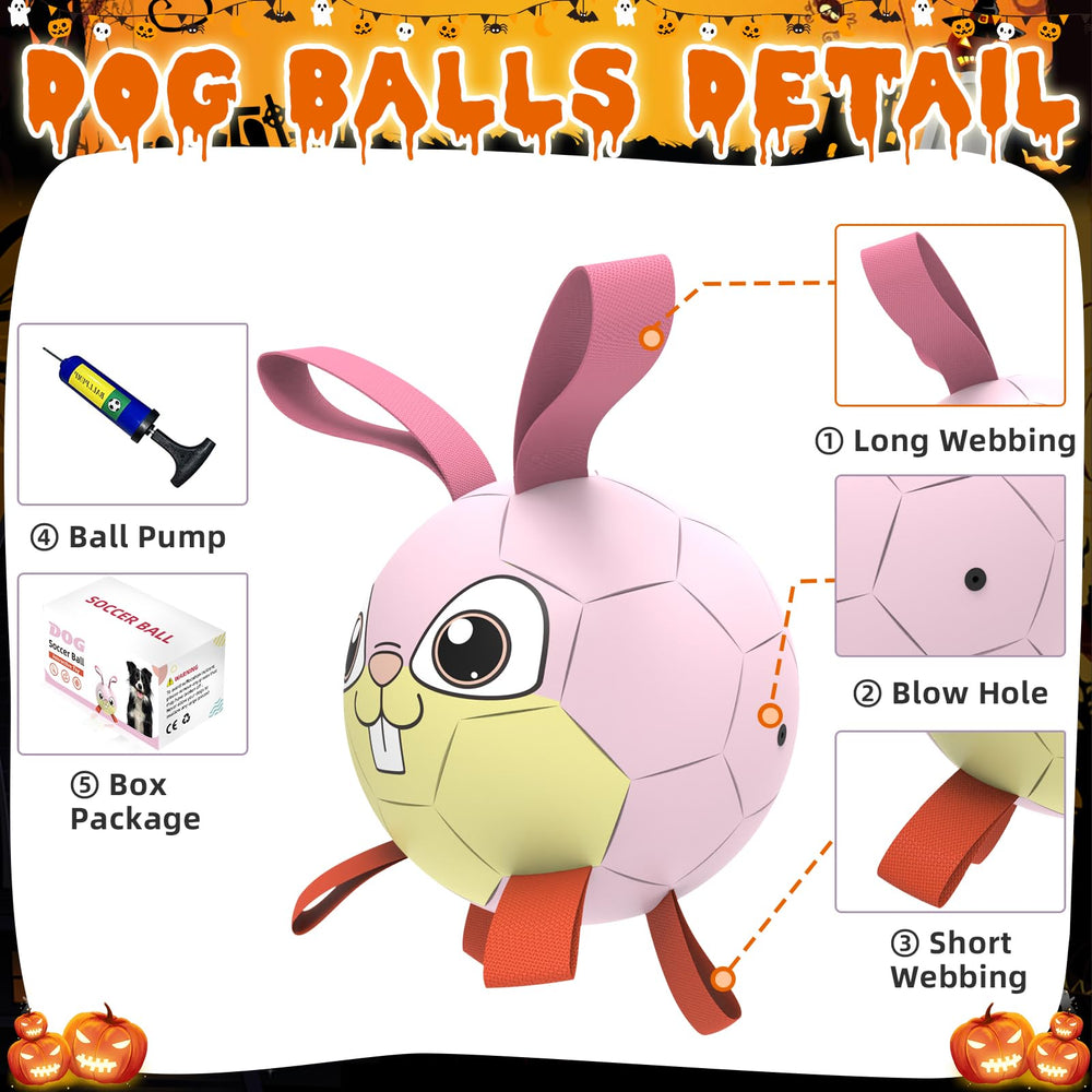 QDAN 6-inch ball ready for small to medium dogs