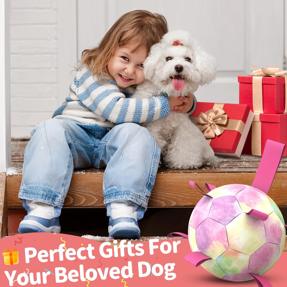 QDAN Rainbow Dog Balls are for interactive play, not a chew toy.