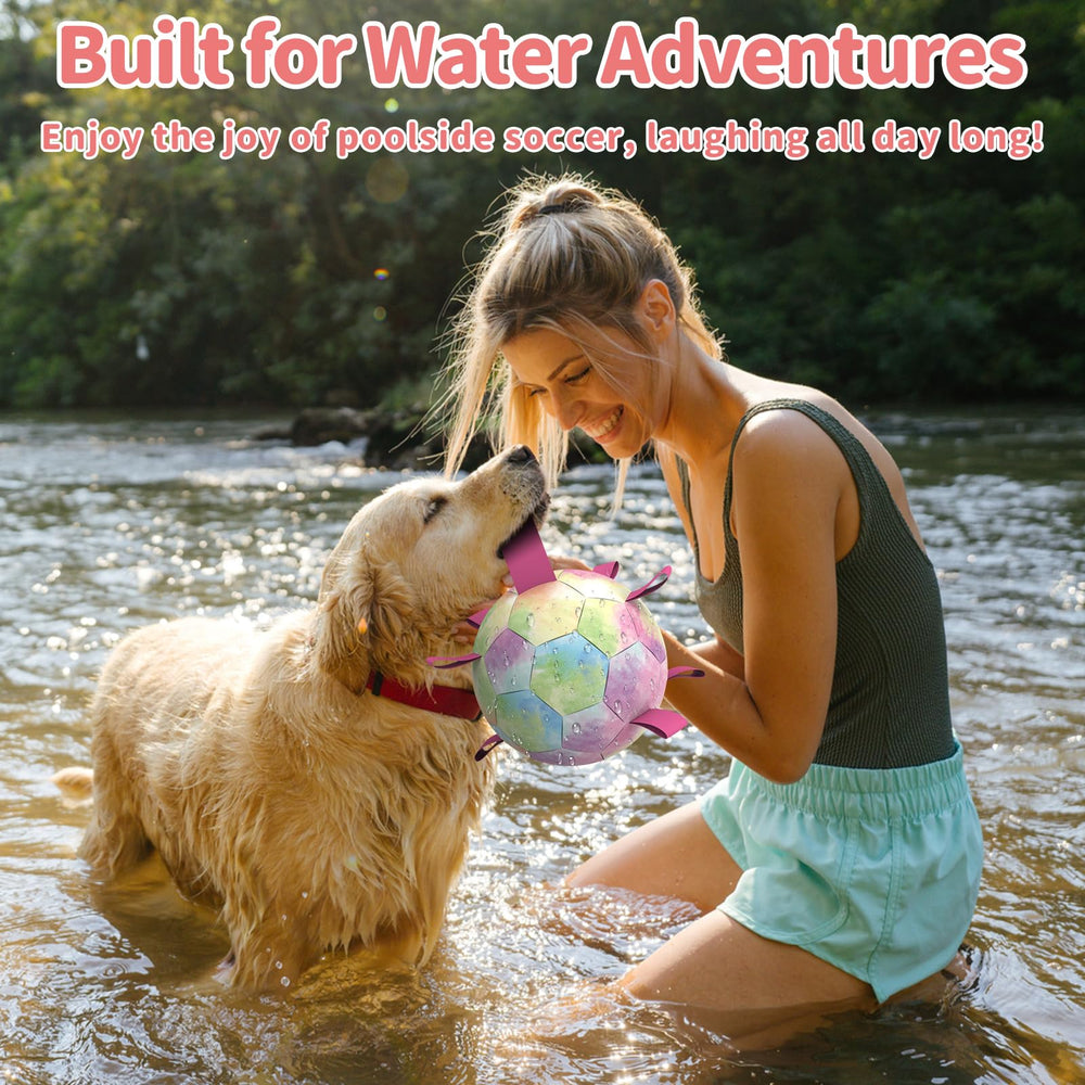 QDAN Rainbow Dog Balls with longer strap for easy grabbing during training.