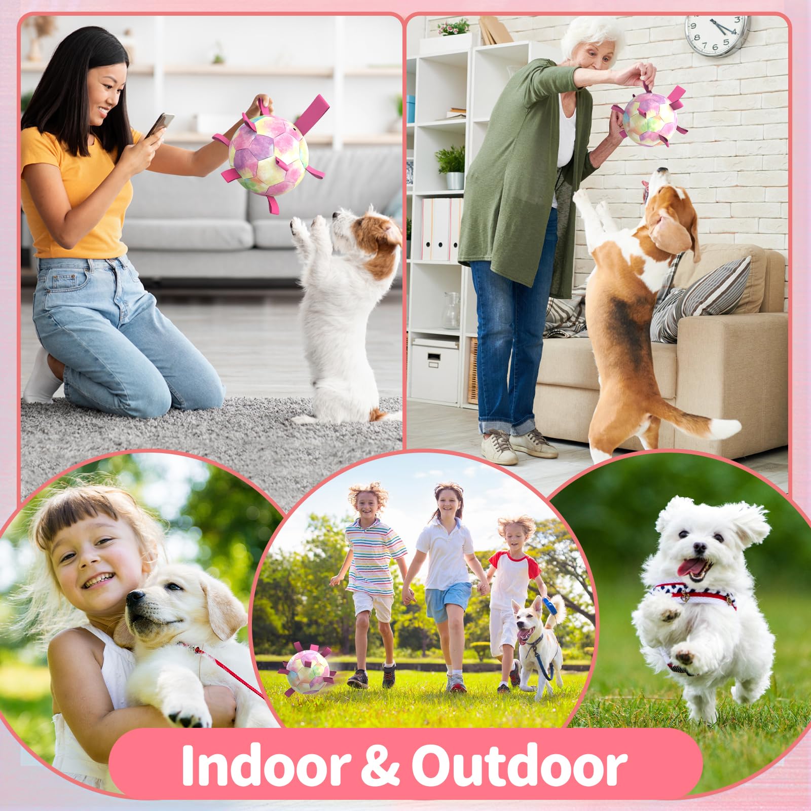 QDAN Rainbow Dog Balls sized for small to medium dogs during games.