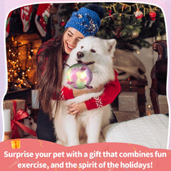 QDAN Rainbow Dog Balls with straps show bouncing action for fetch.