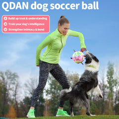QDAN Rainbow Dog Balls in water play, ideal for pool adventures.