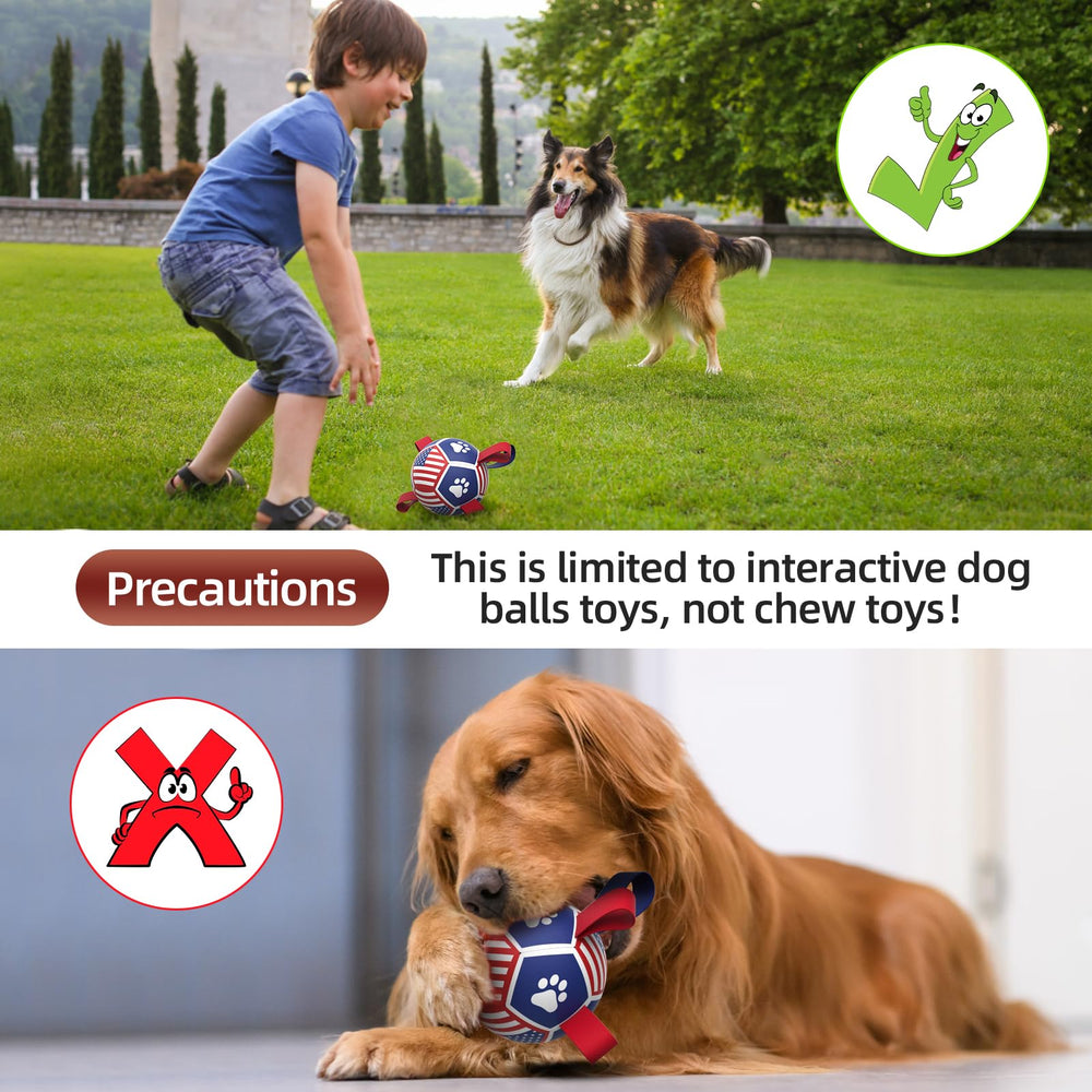 QDAN small dog ball designed for gentle play and mental stimulation.