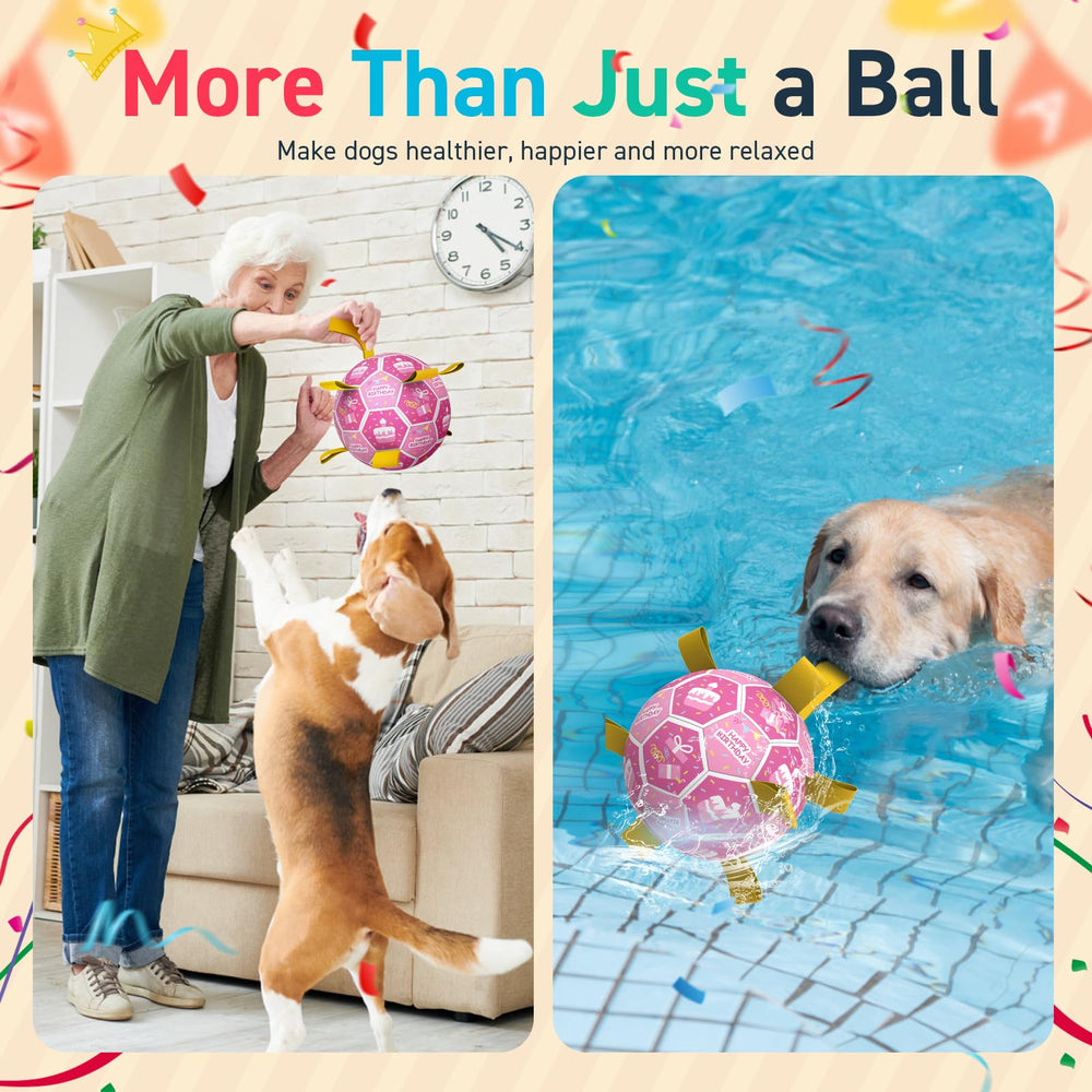 QDAN toy with eight nylon straps supports toss and guided tug drills.