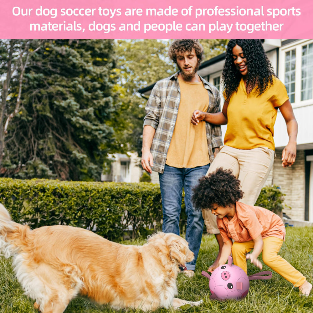 QDAN dog soccer ball is ideal for versatile play including fetch, water games, and light training.