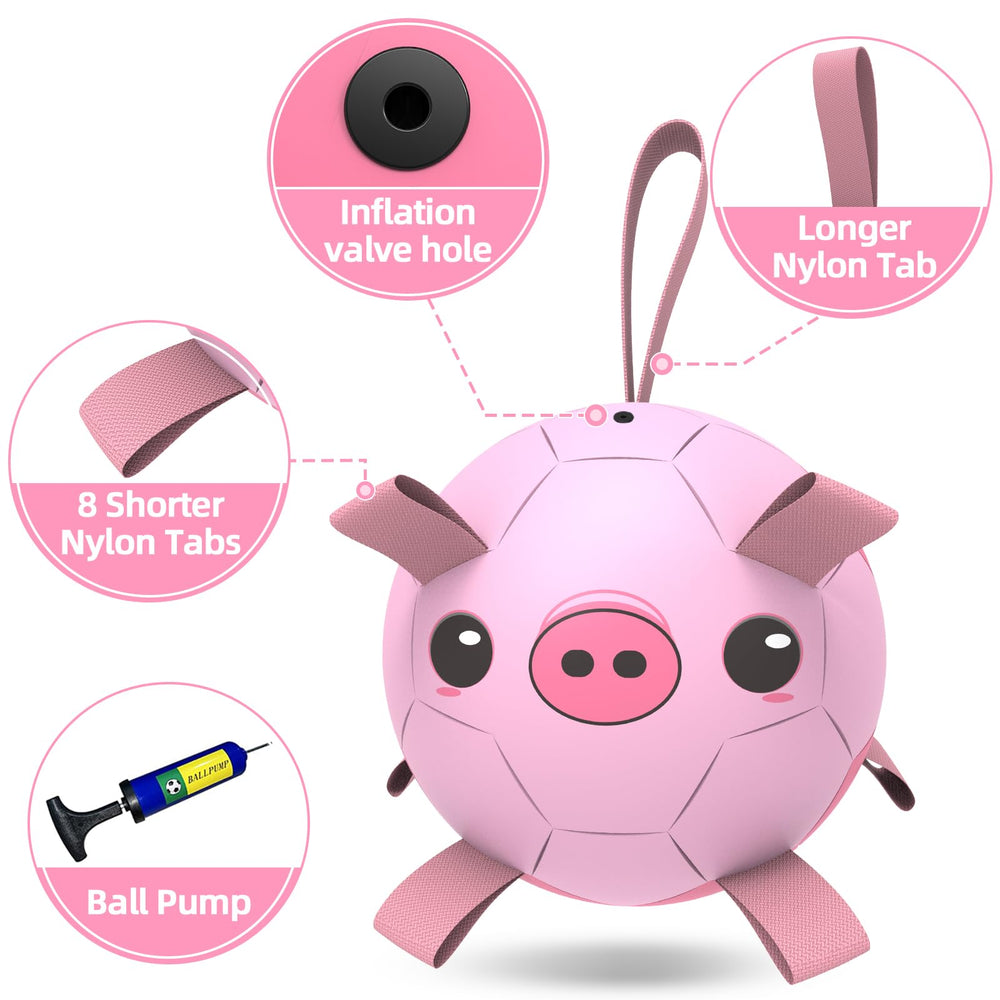 QDAN dog soccer ball features erratic bounce to boost retrieval games.