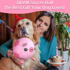 QDAN dog soccer ball nylon straps provide durable tug action for training games.