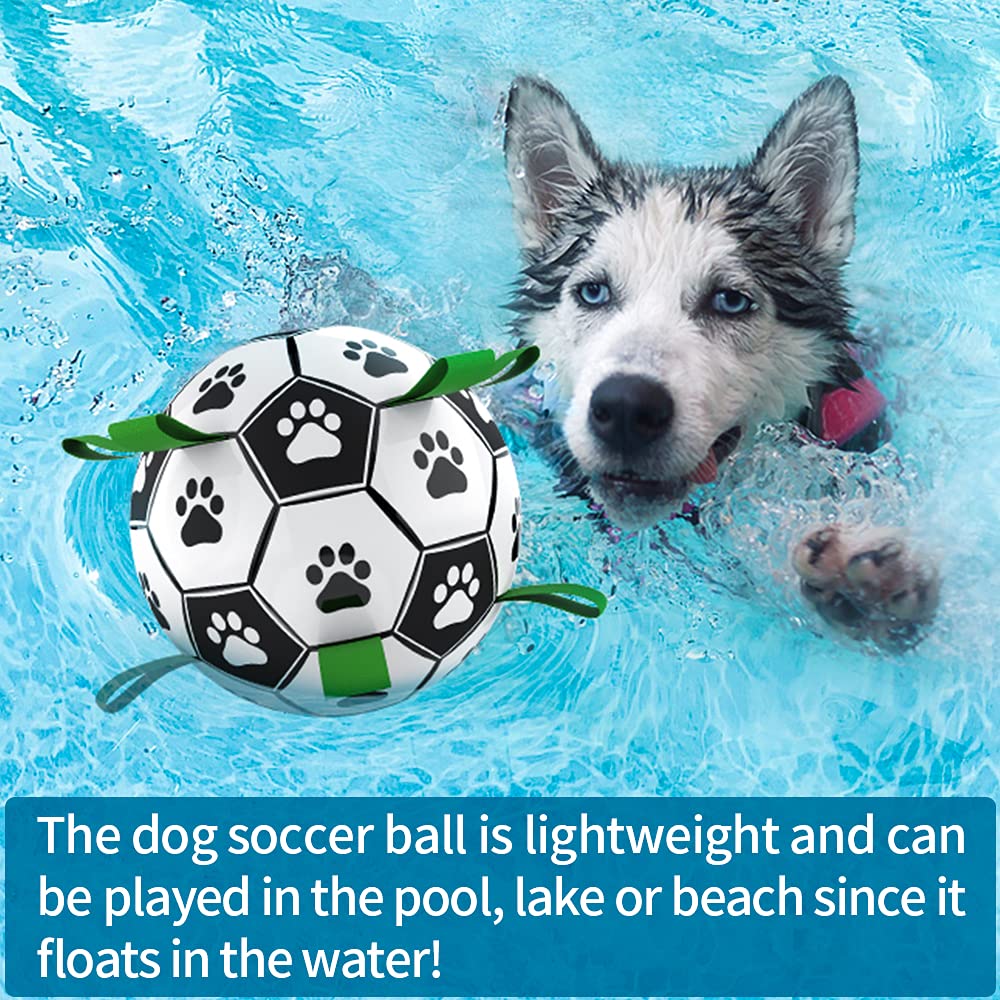 QDAN dog toy soccer ball for pool play adds water-friendly entertainment