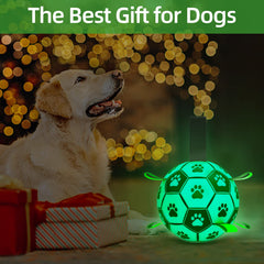 QDAN dog ball long rope grip improves tossing control