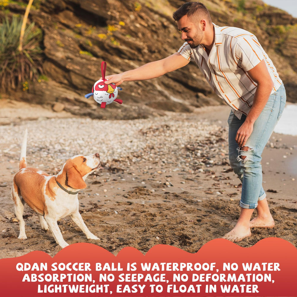 QDAN ball with extended grab strap for easy toss and retrieval