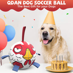 QDAN Chicken Dog Ball Toy side grab handle for easy retrieval during play.