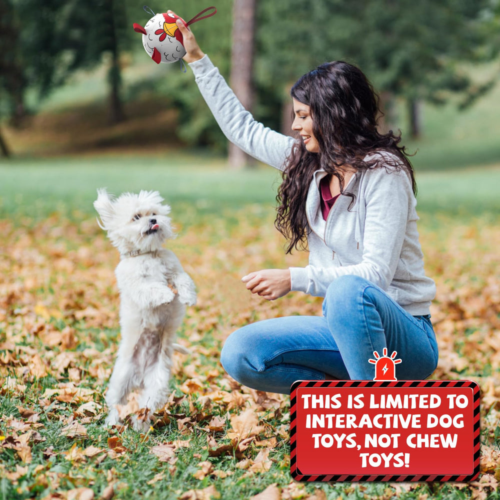 QDAN dog toy by the lake during training session