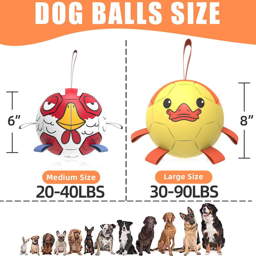 QDAN paw-print design ball that attracts dogs during interactive play