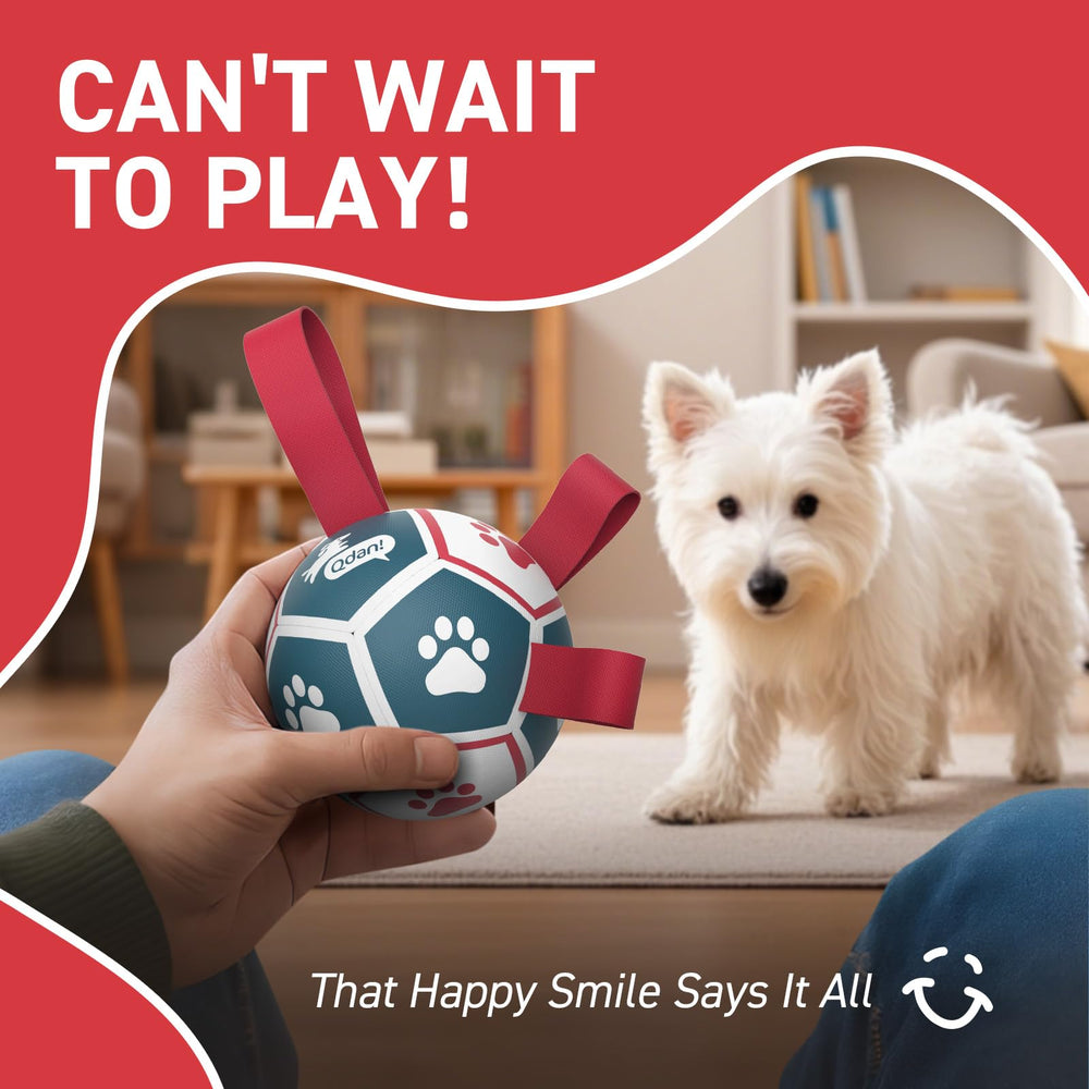 QDAN dog ball toy shown for interactive play in the living room.