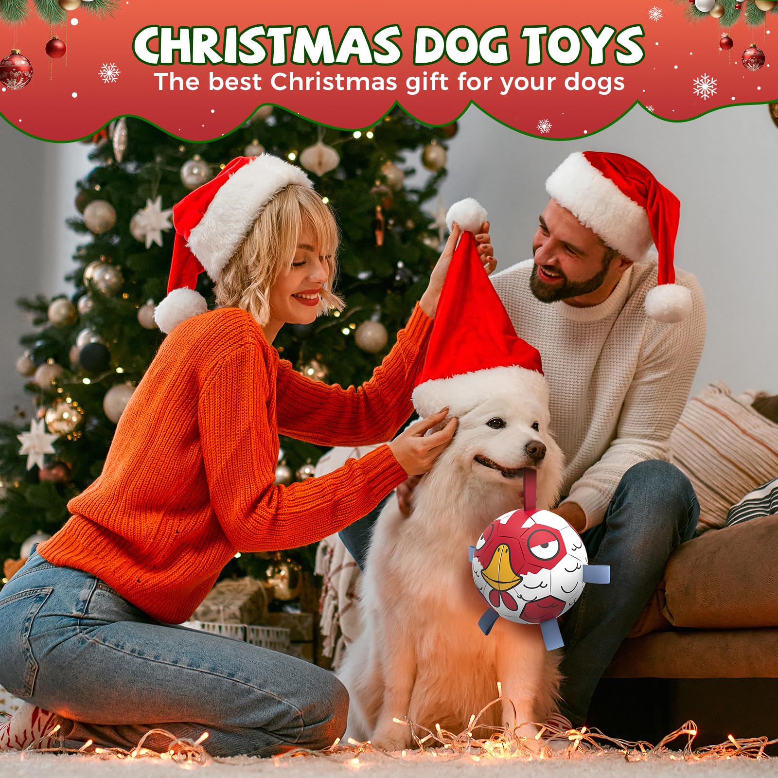 QDAN dog ball toy chicken ball action shot encourages chasing and fetch.