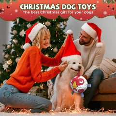 QDAN dog ball toy chicken ball action shot encourages chasing and fetch.