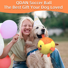 QDAN dog ball with long strap enabling easy retrieval during tug training