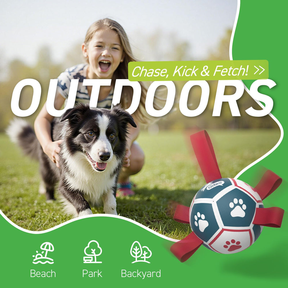 QDAN puppy birthday gift soccer ball shown in bright colors for puppies.