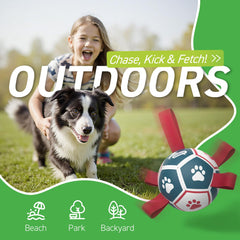 QDAN puppy birthday gift soccer ball shown in bright colors for puppies.