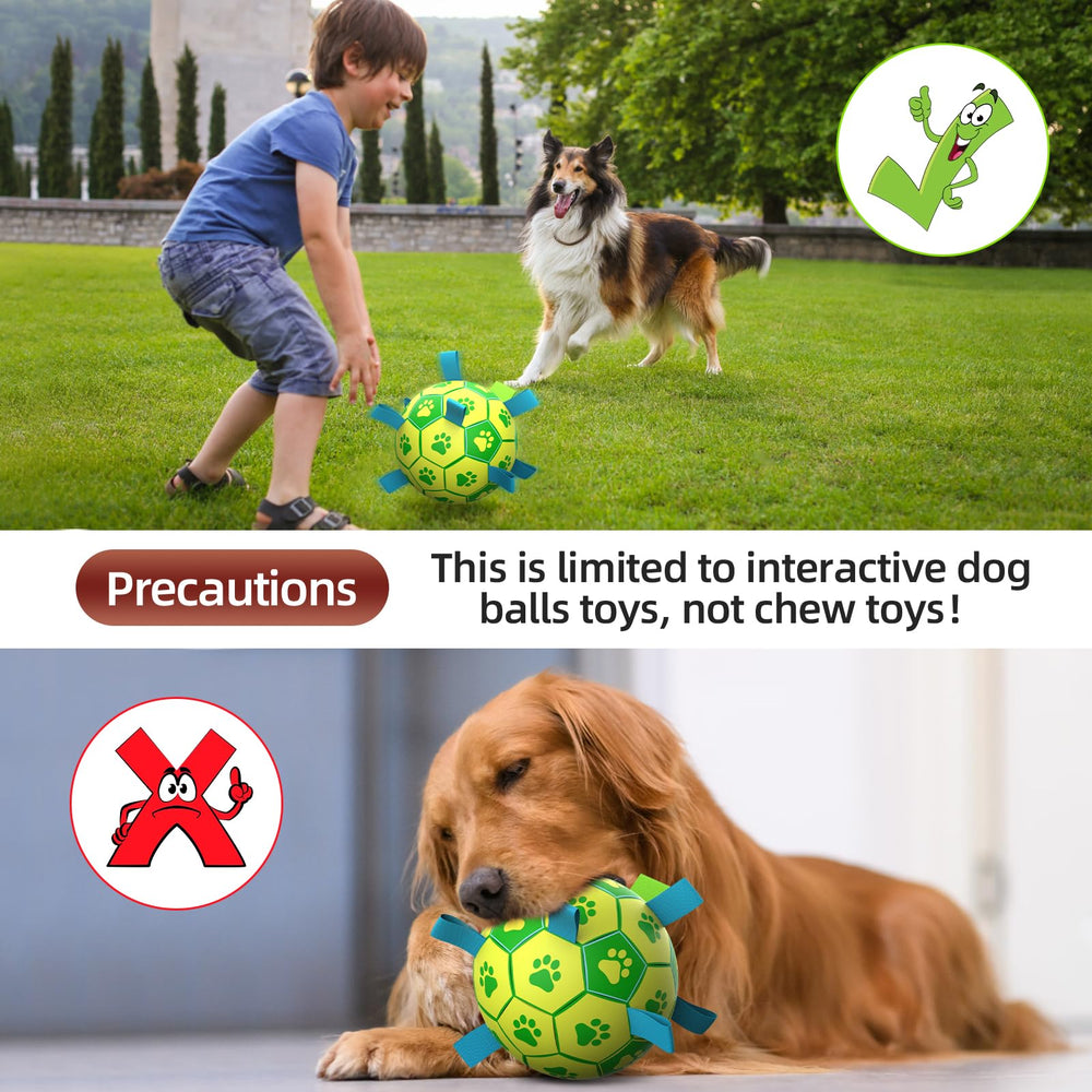 QDAN dog toy suitable for indoor and outdoor bounce and fetch.