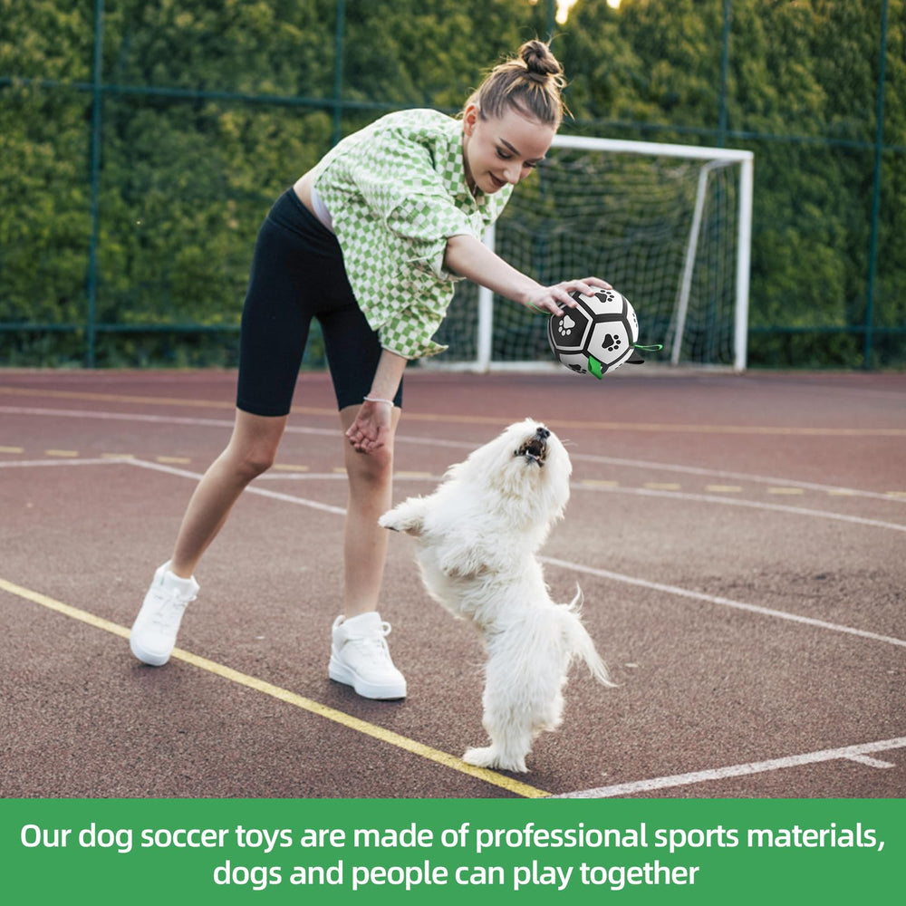 QDAN dog water toy floats on water for splashy fun.