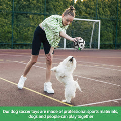 QDAN dog water toy floats on water for splashy fun.