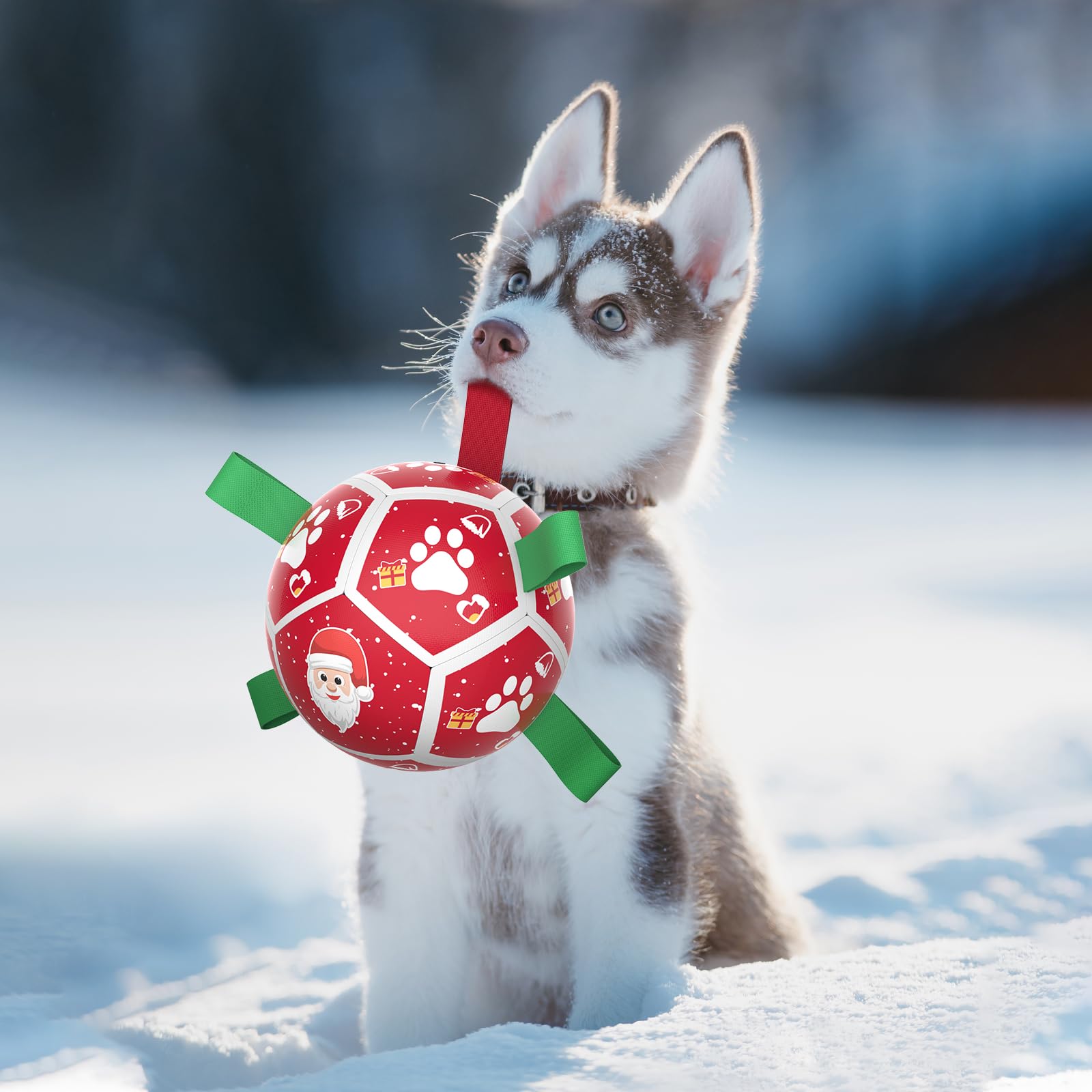 QDAN durable dog ball with nylon straps for long-lasting fetch