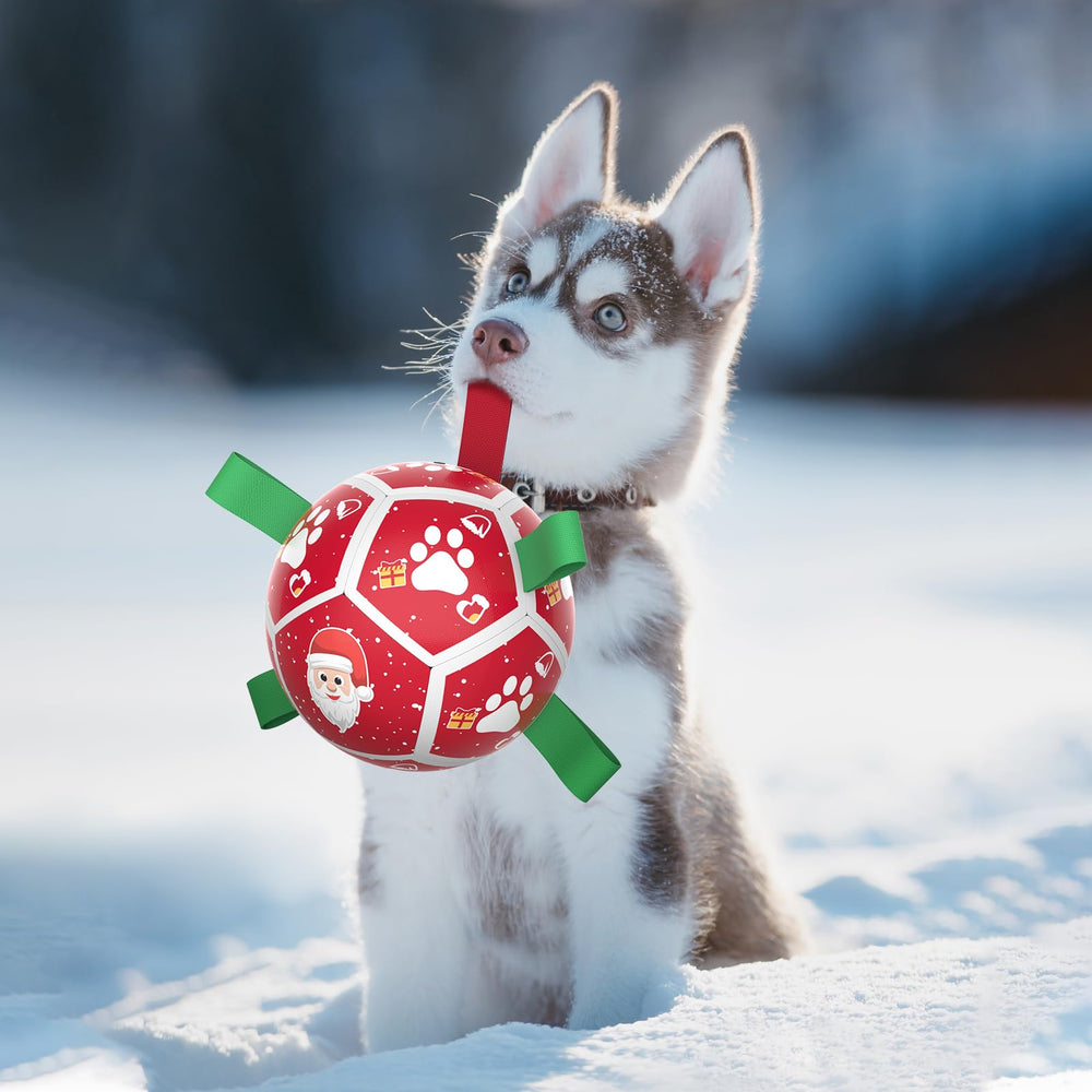 QDAN durable dog ball with nylon straps for long-lasting fetch