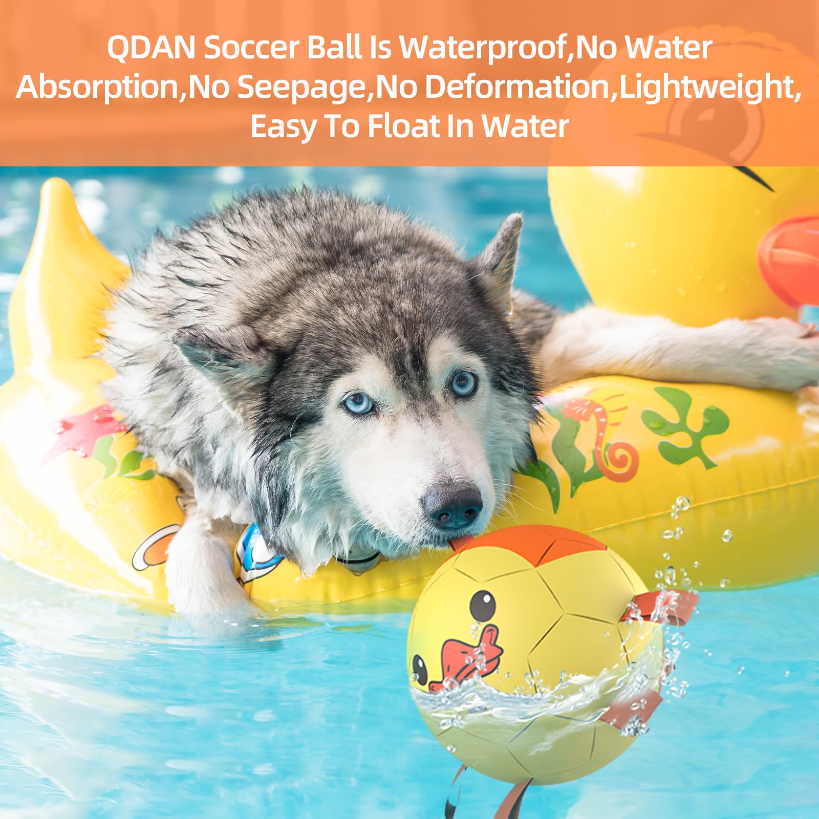 QDAN PU material dog ball highlights safe, non-toxic construction