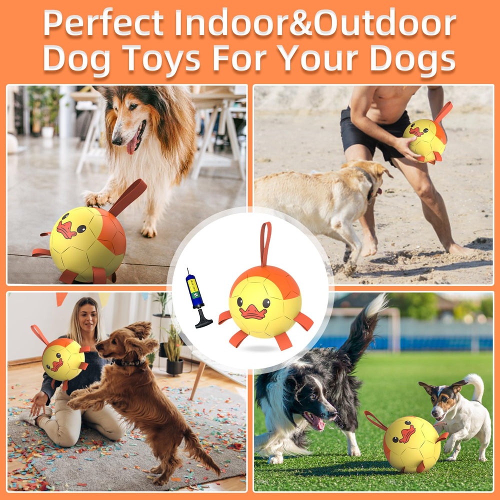 QDAN floating dog ball pictured in water for pool and lake play