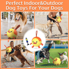 QDAN floating dog ball pictured in water for pool and lake play