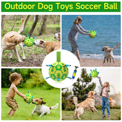 QDAN textured ball with nylon tabs for unpredictable bounce.