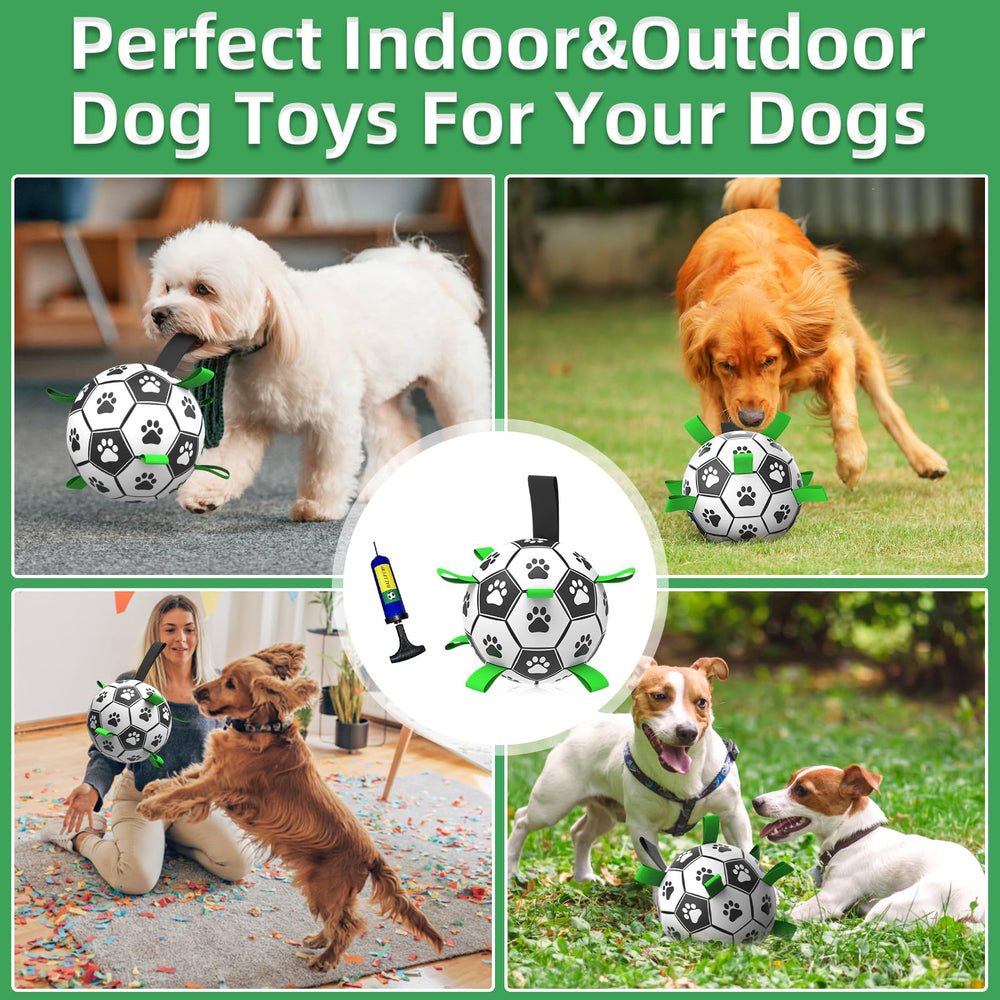QDAN multi-pack image displays twin balls ready for households with multiple dogs.