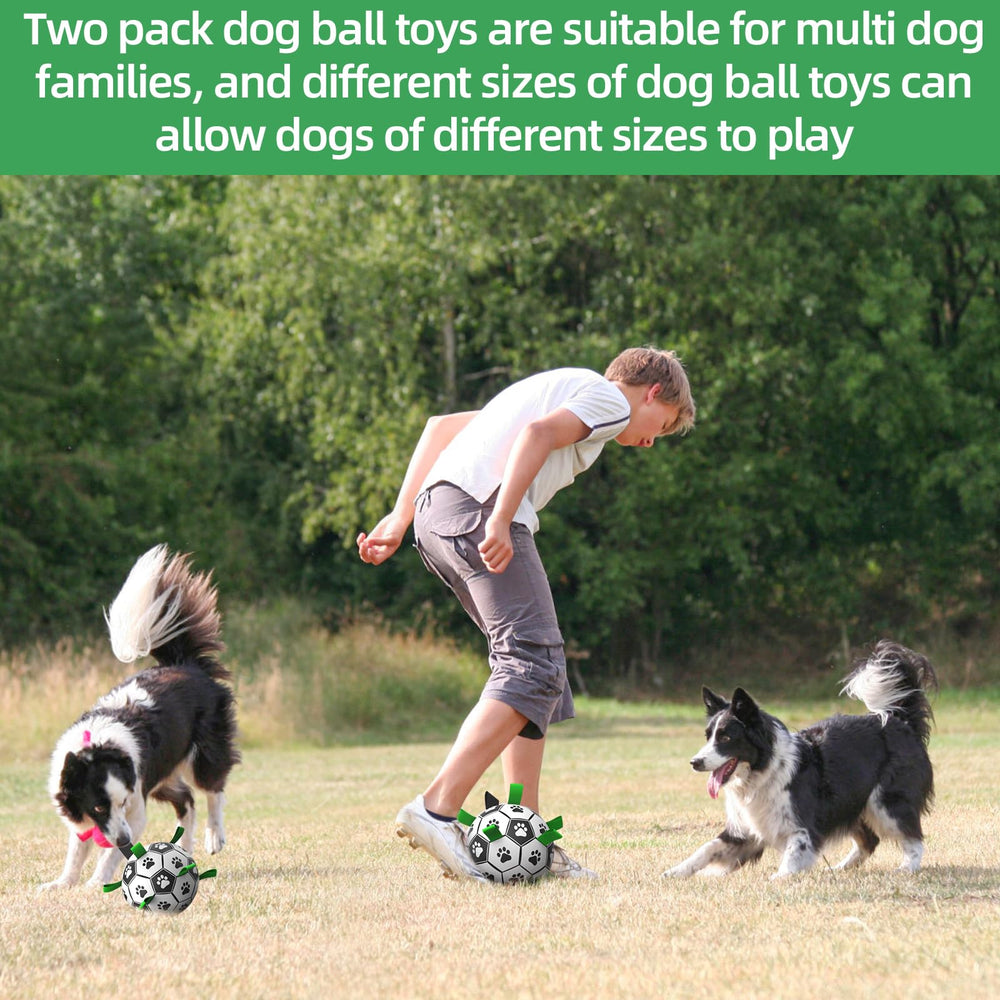 QDAN ball with safe materials image emphasizes non-toxic construction.