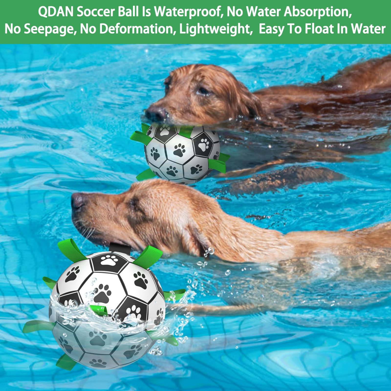 QDAN outdoor play scene shows dog chasing ball in yard sunlight.