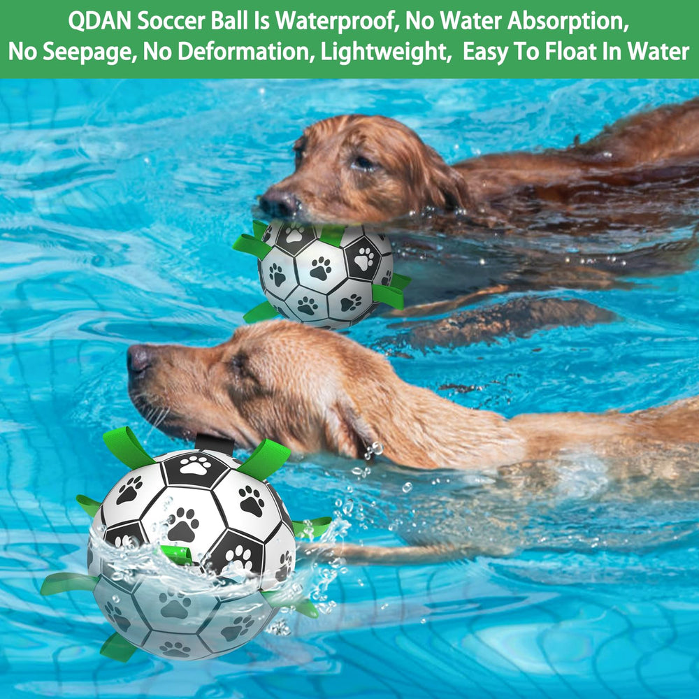 QDAN outdoor play scene shows dog chasing ball in yard sunlight.