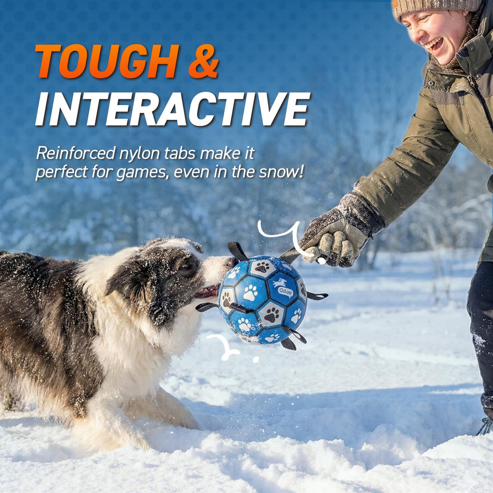 QDAN dog ball grab straps close-up showing easy pickup and toss