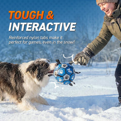 QDAN dog ball grab straps close-up showing easy pickup and toss