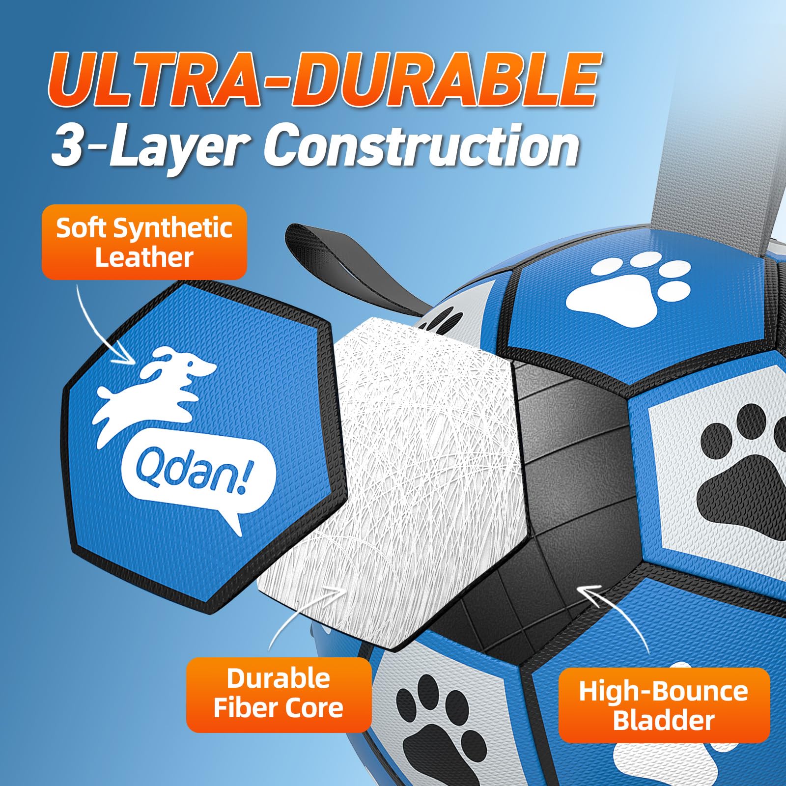 QDAN outdoor indoor play scene with dog enjoying fetch and exercise