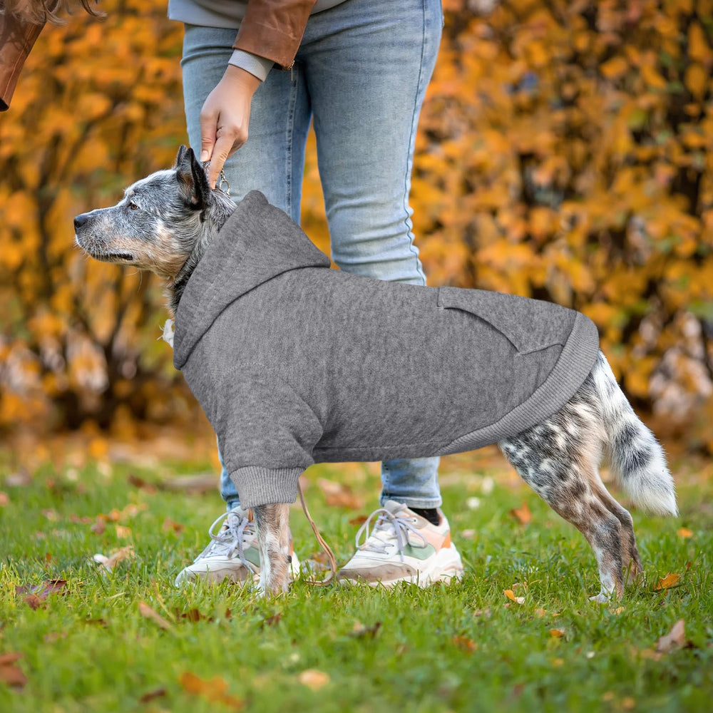 QDYU dog hoodie model wearing demonstrates everyday versatility
