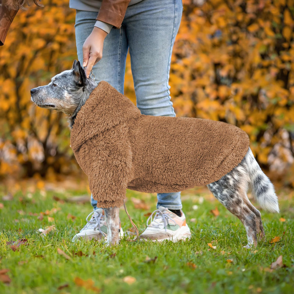 QDYU dog hoodie worn on dog—everyday comfort in action