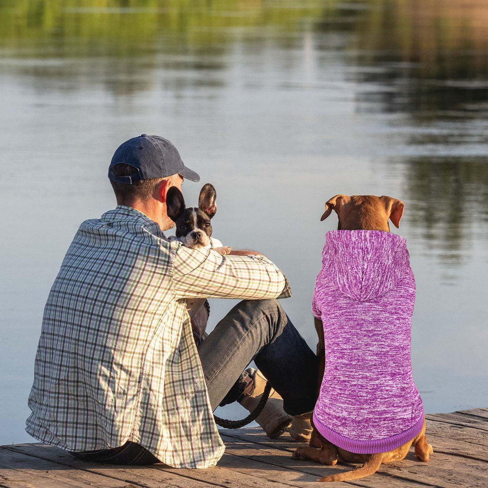QDYU dog hoodie purple XXL on-dog wearing during outdoor walks.