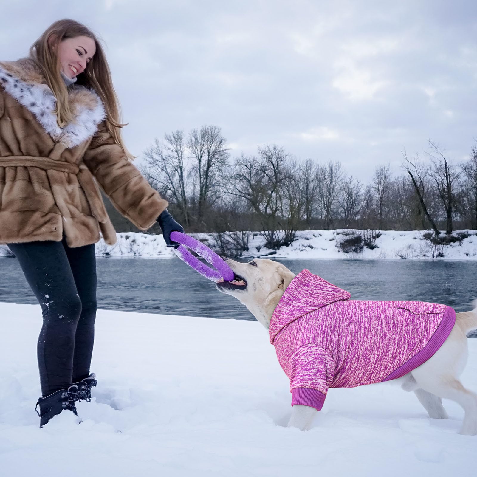 QDYU dog hoodie purple XXL size chart helps find the right fit.